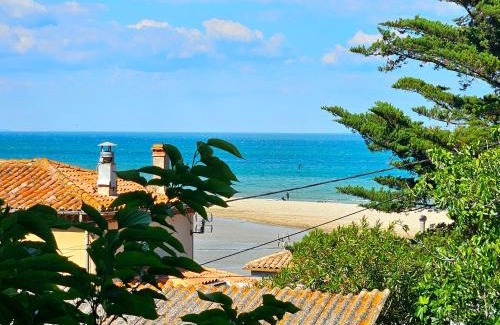 La Franqui House | Villa des cèdres La Franqui