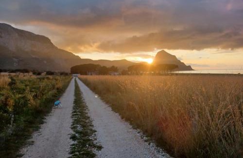 Castelluzzo House | Villa Dracena