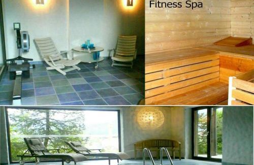 Abtenau Apartment | Villa Edelweiss - 3 to 6 Guests - private use of indoor pool, sauna and garden terrace