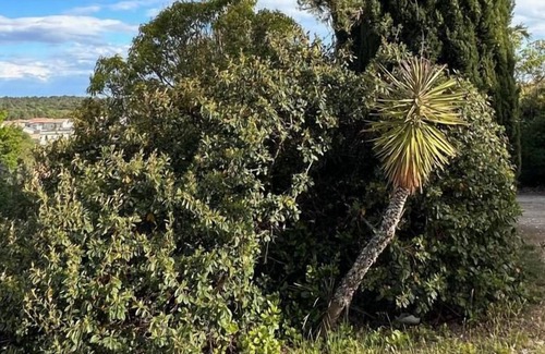 Montarnaud House | Villa Elektra - Heated Pool