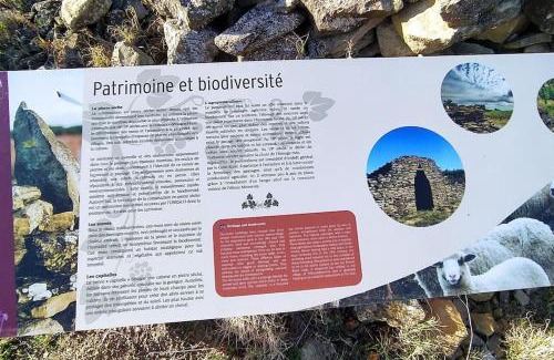 Felines-Minervois Villa | Villa Félines