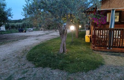 Torino di Sangro Apartment | VILLA FELICIA