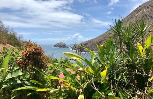 Terre-de-Haut House | Villa Figues et Mangos