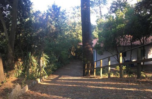 L'Herbe House | Villa Framboise