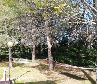 Crispiano Villa | Villa Giulia