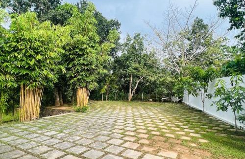 Akmeemana Villa | Villa Green Bamboo