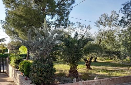 Andria Villa | Villa Hakuna Matata