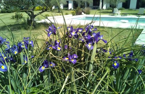 Aleria Bed & Breakfast | Villa Helychrisa
