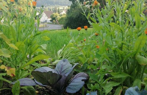 Biedenkopf Apartment | Villa Hinterland