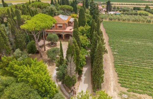 Campiglia Marittima Apartment | Villa I Tigli