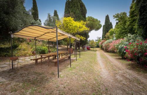 Campiglia Marittima Apartment | Villa I Tigli