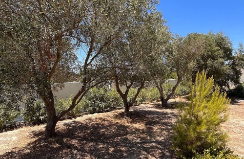 San Pietro in Bevagna Villa | Villa in Salento with garden