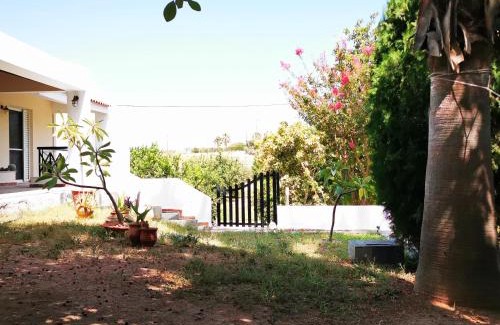 Tingaki House | Villa Irene