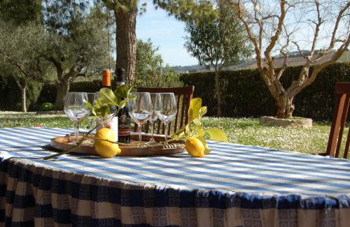 Grottammare Apartment | Villa Irma a Grottammare Relax con Piscina a 10 min dal Mare