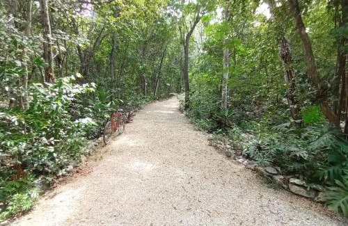 Soliman Bay House | Villa Ixchel private pool