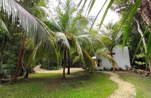 Soliman Bay House | Villa Ixchel private pool