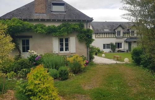 Cour-Cheverny House | Villa l'Arbre Bleu