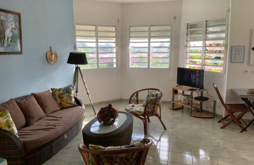 Point d'Or Apartment | Villa l'Exotik