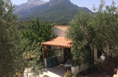 Oliena House | Villa L'Oliveto