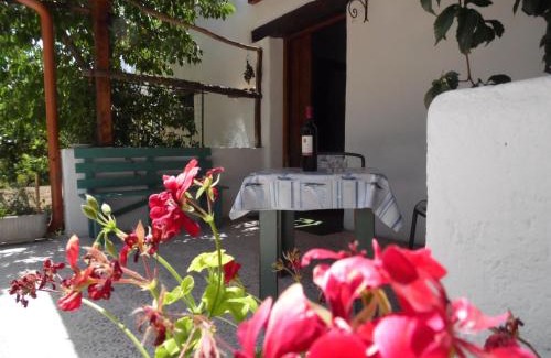 Oliena House | Villa L'Oliveto