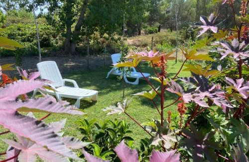 Melendugno Apartment | Villa Laurus