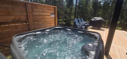 Shannon Ski Chalet | Villa Le Frigg spa swimming pool