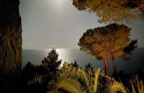 Capoliveri Villa | Villa Le Ginestre di mare
