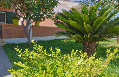 Ardea Apartment | Villa Lella - Pantheon