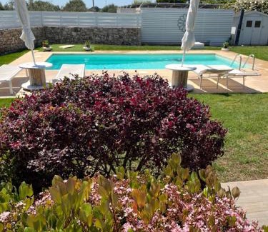 Mola di Bari Apartment | Villa Maderna