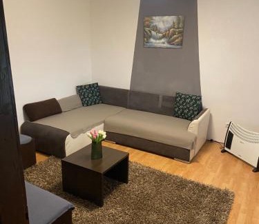 Varazdinske Toplice House | Villa Marijana