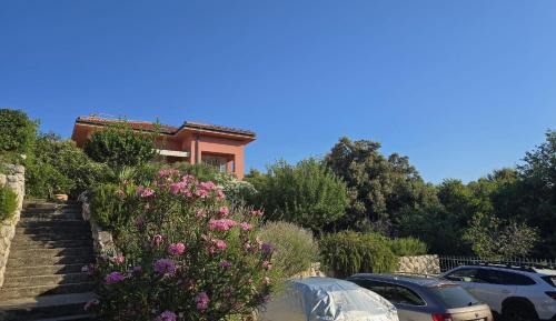 Suha Punta Apartment | Villa Matovica