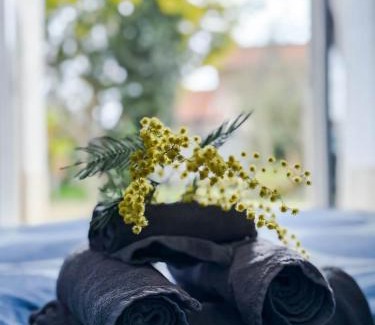 Cassano Magnago House | Villa Mimosa