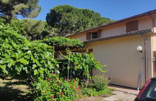 Muravera House | Villa mimosa