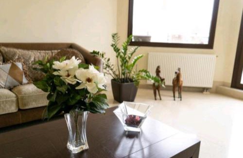 Soroni Villa | Villa Nostra- Cars Included