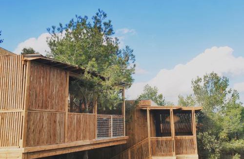 Calvisson Hotel | Villa Occitana