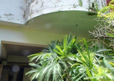 Arambol House | Villa Oceanic guesthouse