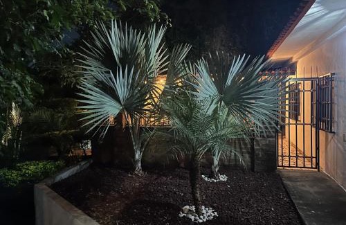 Puerto Vallarta Villa | Villa Palmier - Terrace & Gardens - Comfort Calm