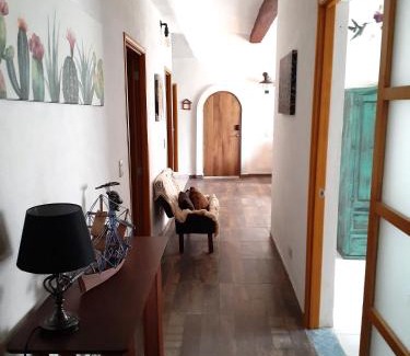 Puerto Vallarta Villa | Villa Palmier - Terrace & Gardens - Comfort Calm