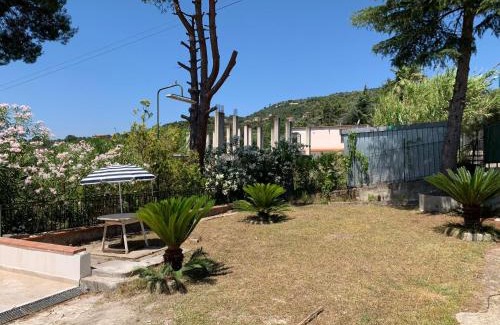 Casal Velino House | Villa Panorama