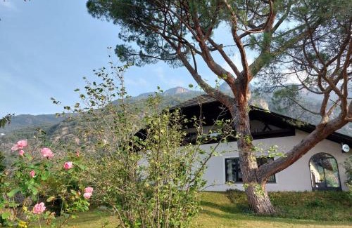 Terlano Apartment | Villa Pinie Apt 2
