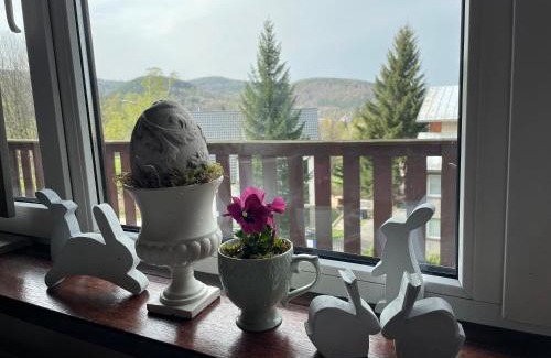 Karpacz House | Villa Retro Możliwość wynajęcia całego budynku