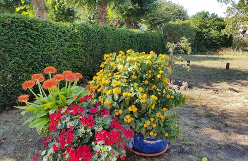 Koserow Apartment | Villa Romantica garden apartment, 300 m to the Baltic Sea, WLAN - Villa Romantica