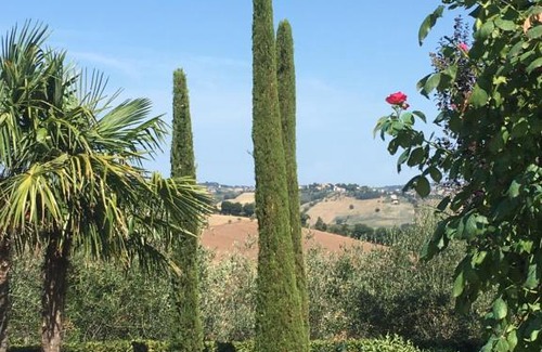 Ostra Vetere House | Villa Rosina mit Pool auf einem Weinberg in den Marken Italiens Nähe Strand