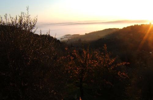 Montalcino Apartment | Villa Santa Maria
