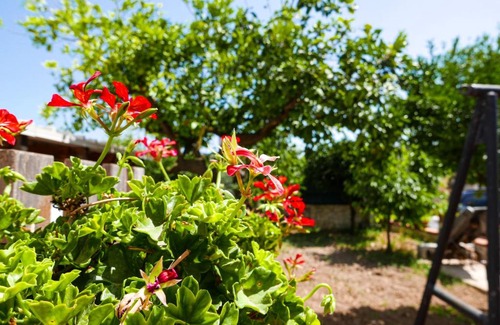 Vignacastrisi Apartment | Villa Scicchi