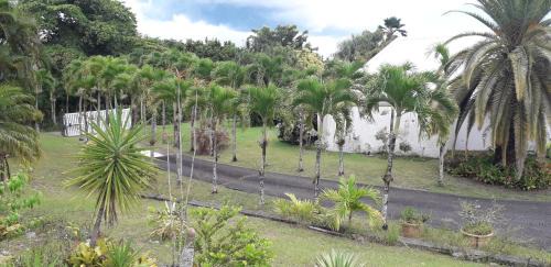Sainte-Rose Villa | Villa SEVERIN