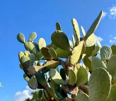 Torrenova Villa | Villa Sole