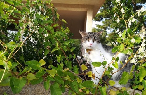 Sambuca di Sicilia Villa | Villa Sorbe - Sambuca di Sicilia