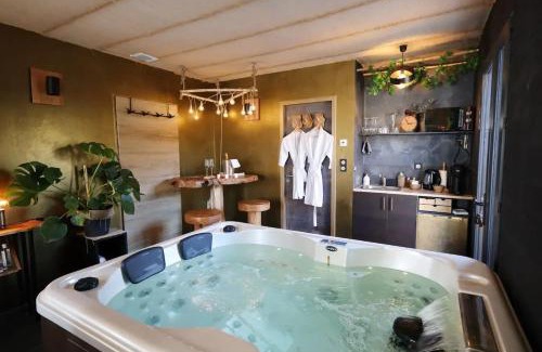 Fontvieille Villa | Villa spacieuse et élégante en campagne à Fontvieille offrant sauna