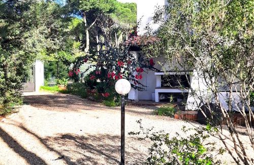 Santa Margherita di Pula Villa | Villa Spiga